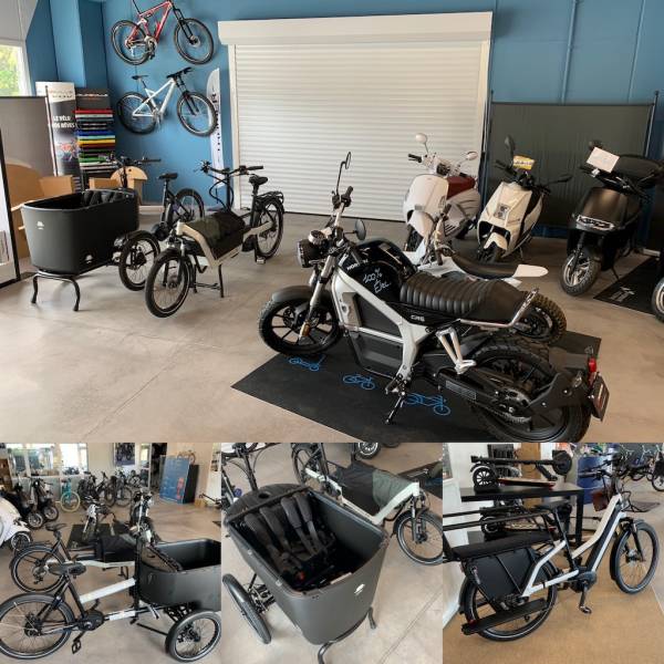 véhicule électrique livraison pas cher location 