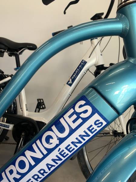 décoration vélo covering