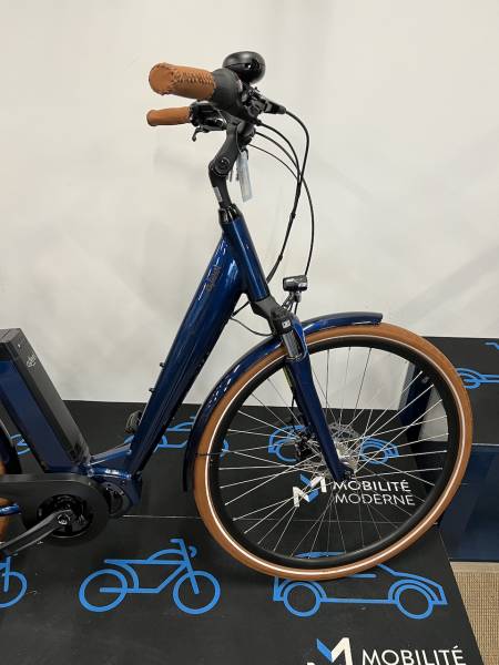 vae bosch femme batterie 400wh