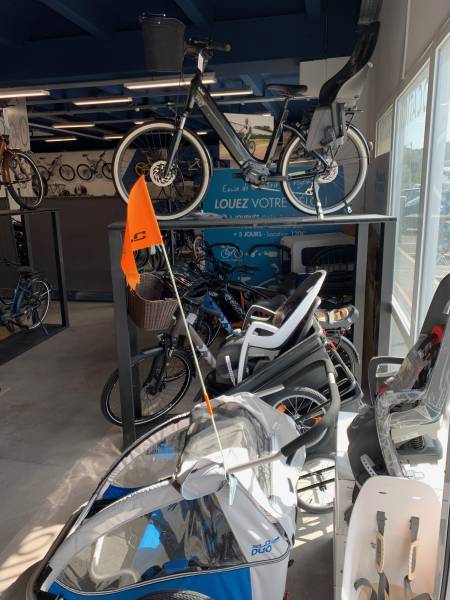 panier pour chien vélo