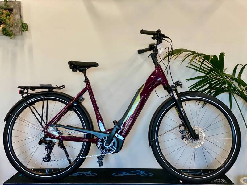 BOSCH 75Nm - 545Wh - 1790€