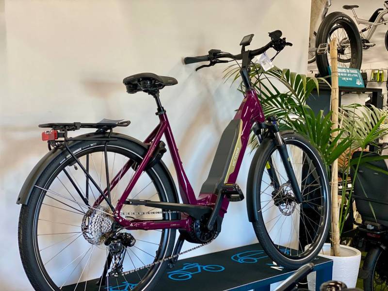 BOSCH 75Nm - 545Wh - 1790€