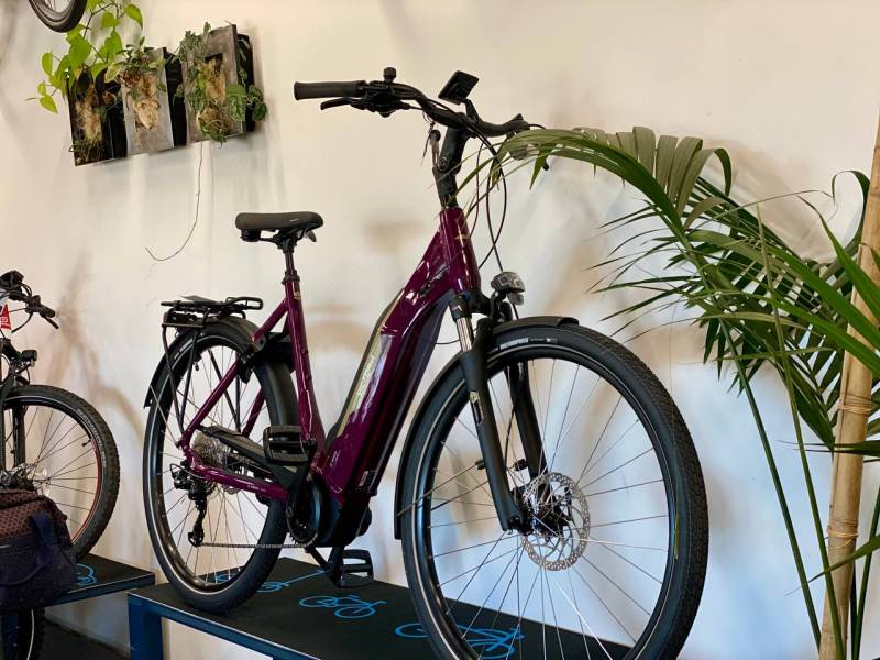 BOSCH 75Nm - 545Wh - 1790€