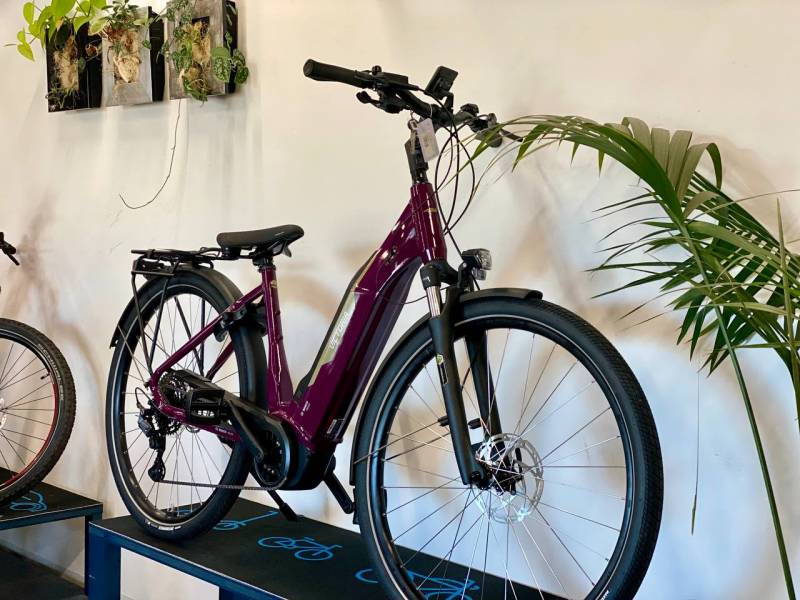 BOSCH 75Nm - 545Wh - 2390€